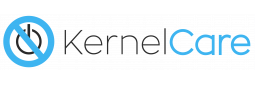 Managed KernelCare Hosting